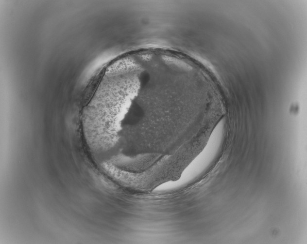 X0000090441359200708102018