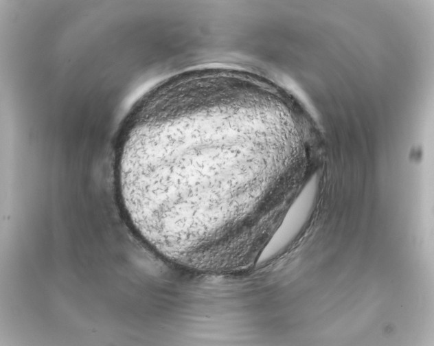 X0000090441360200708102018