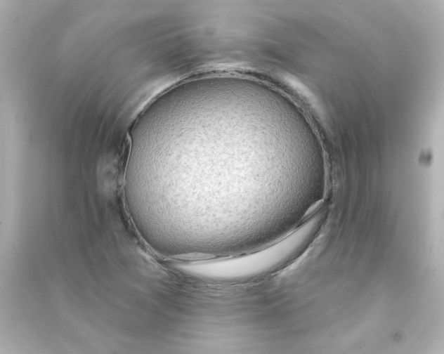 X0000090441361200708102018