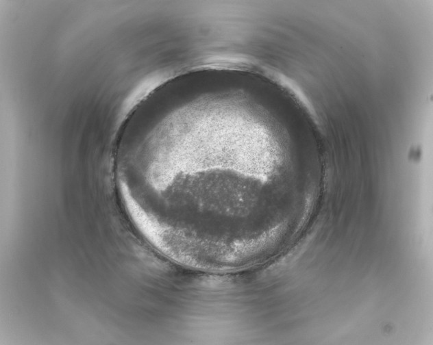 X0000090441362200708102018