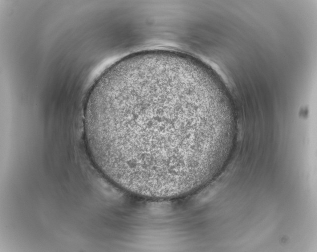 X0000090441363200708102018