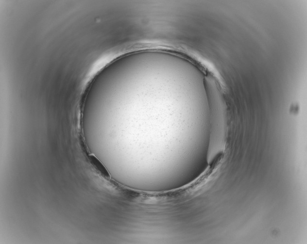 X0000090441365200708102018