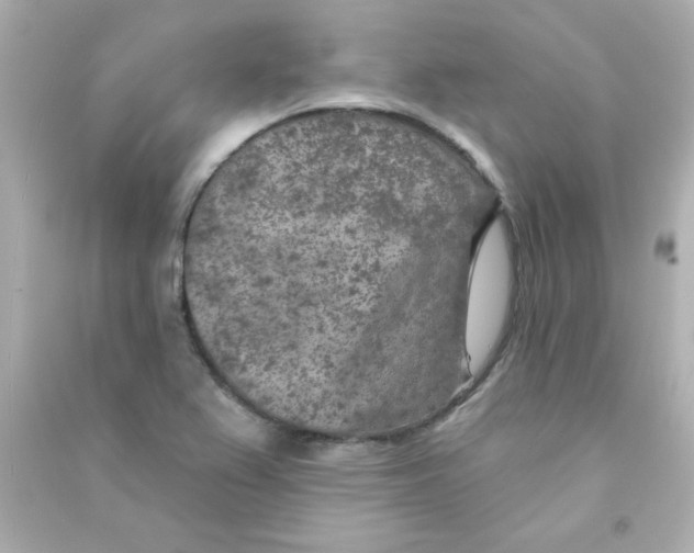 X0000090441367200708102018