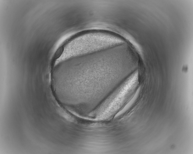 X0000090441368200708102018