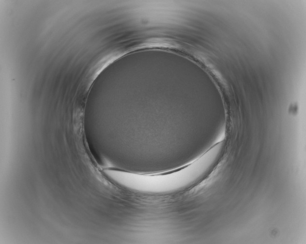X0000090441369200708102018
