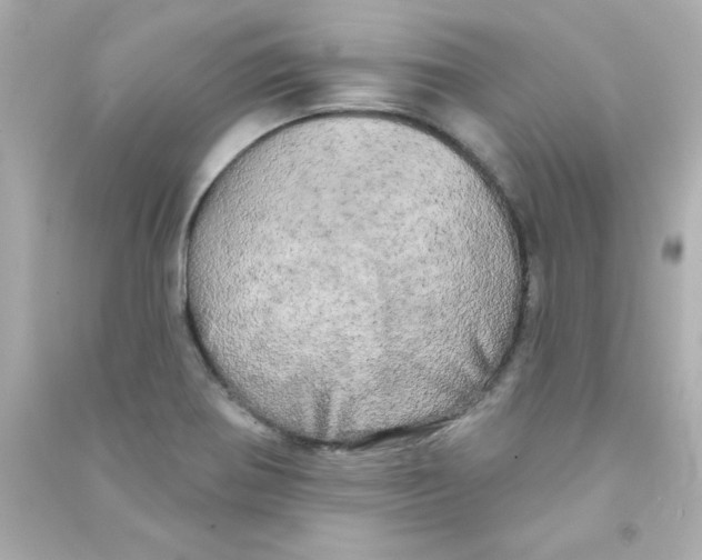X0000090441370200708102018