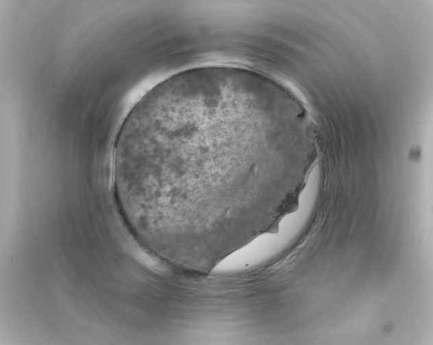 X0000090441371200708102018