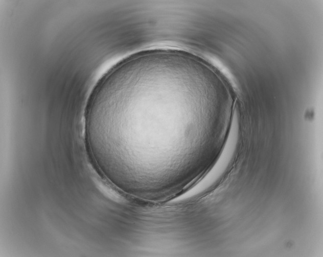 X0000090441372200708102018