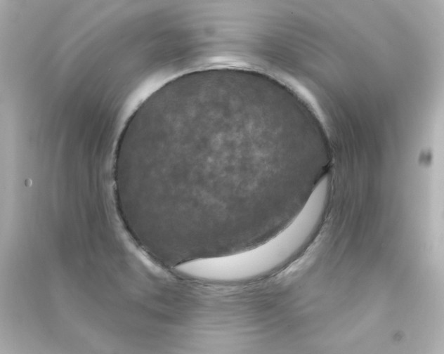 X0000090441373200708102018