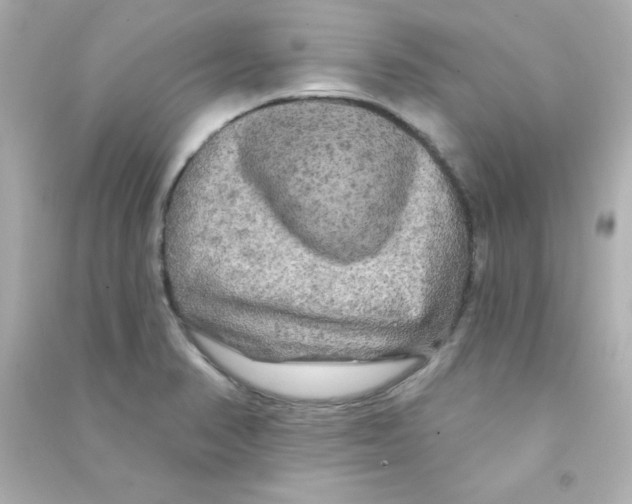 X0000090441374200708102018