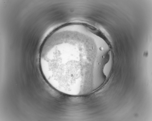 X0000090441376200708102018