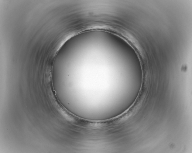X0000090441377200708102018
