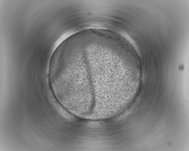 X0000090441378200708102018