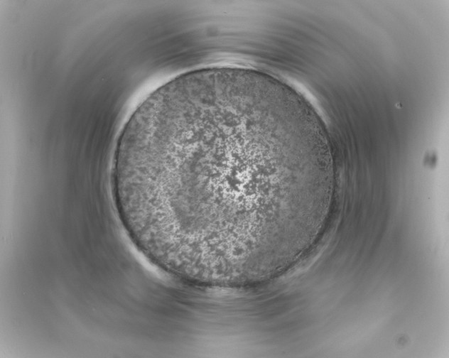 X0000090441379200708102018