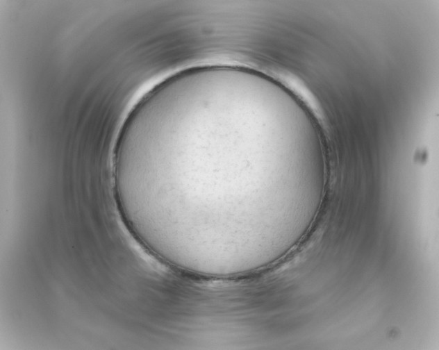 X0000090441380200708102018