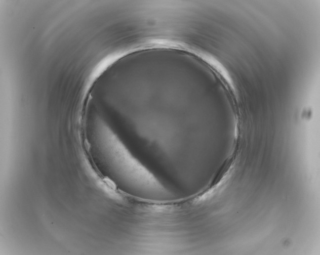X0000090441381200708102018