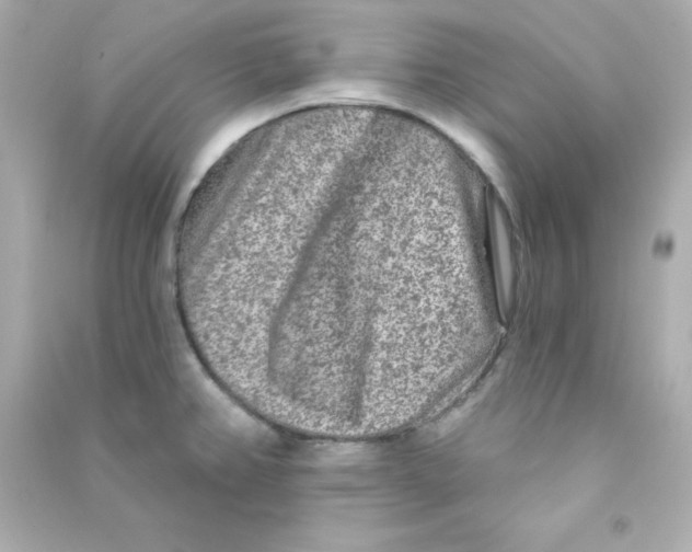 X0000090441382200708102018
