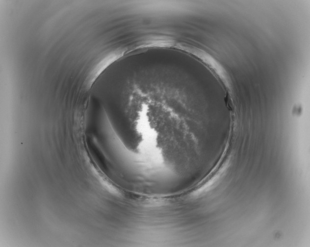 X0000090441385200708102018