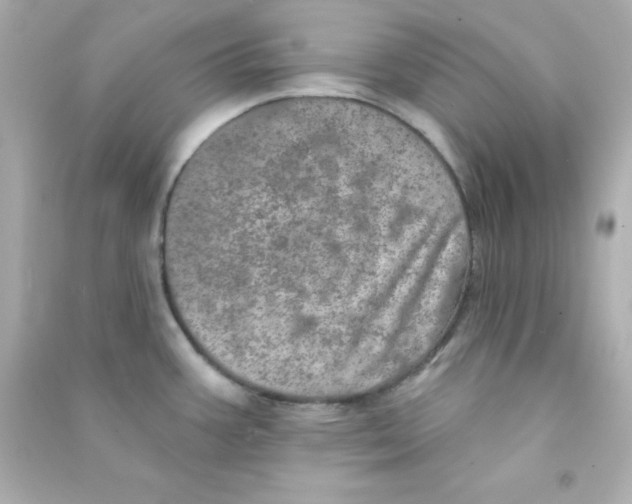 X0000090441387200708102018