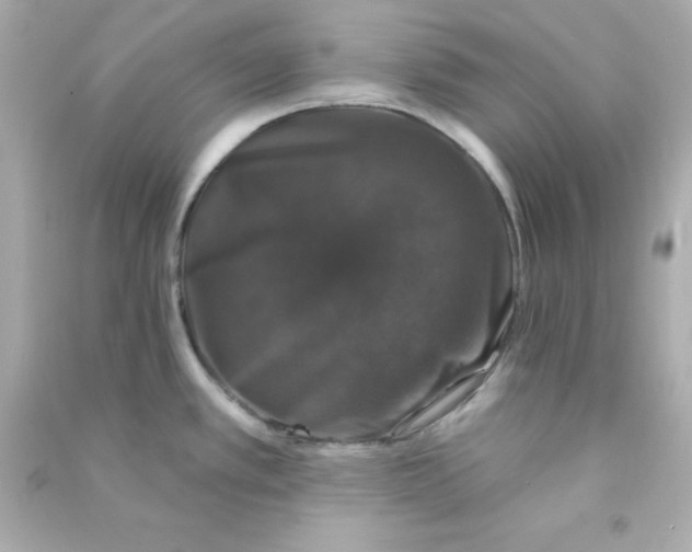 X0000090441389200708102018