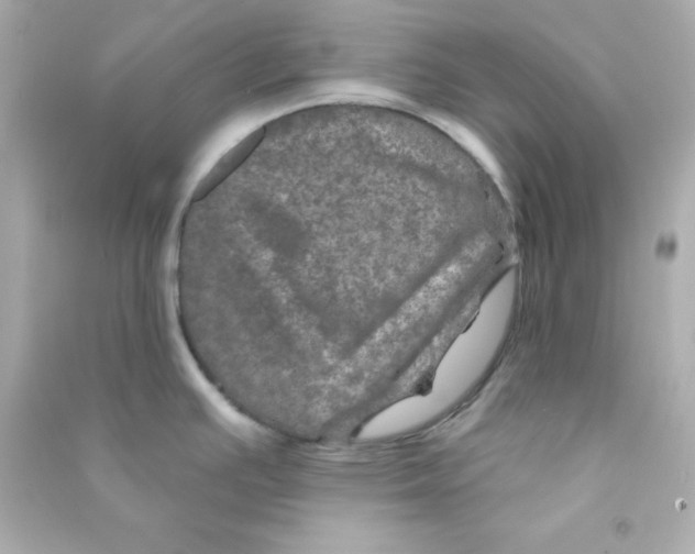 X0000090441391200708102018
