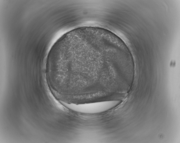 X0000090441392200708102018