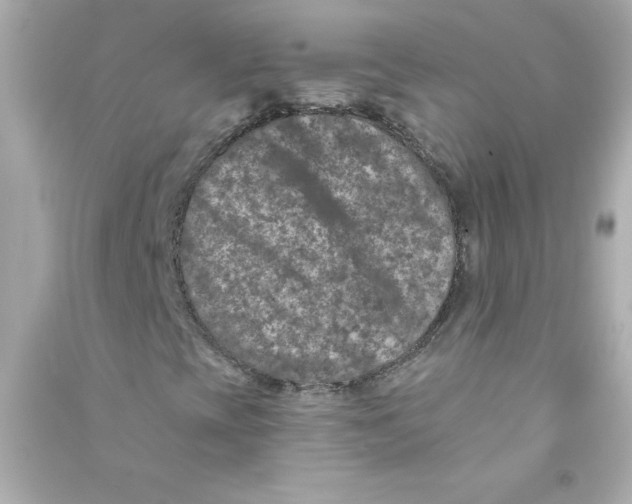 X0000090441393200708102017