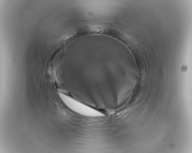 X0000090441394200708102017