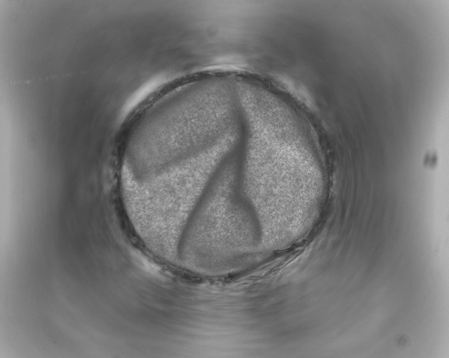 X0000090441400200708102017