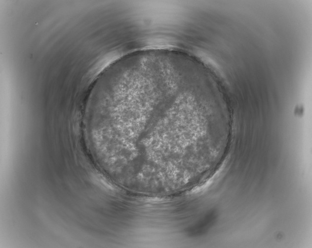 X0000090441401200708102017