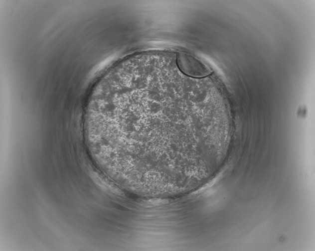 X0000090441403200708102017