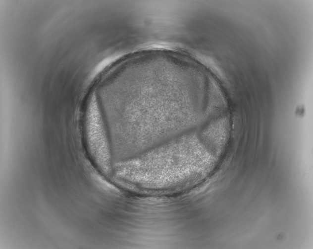 X0000090441404200708102017