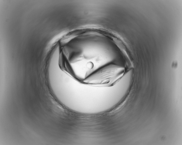 X0000090441406200708102017