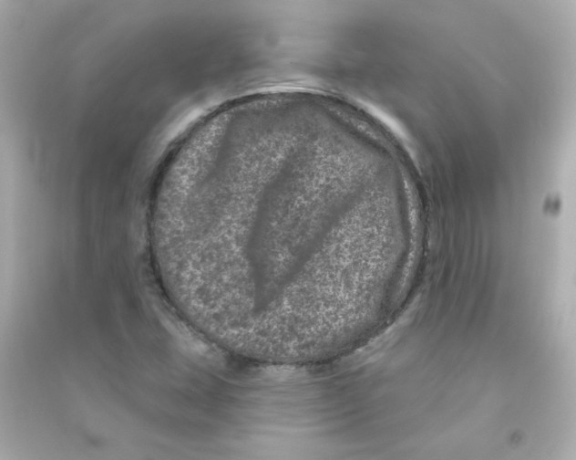 X0000090441407200708102017