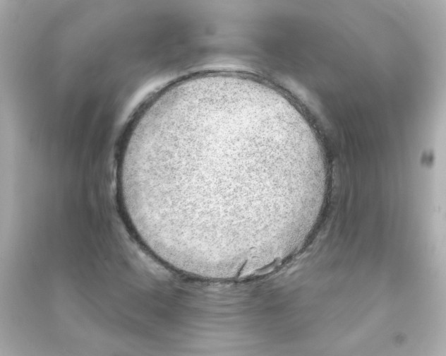 X0000090441408200708102017