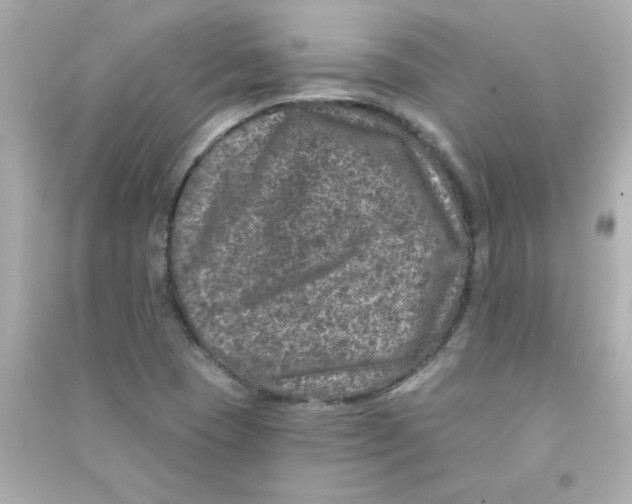 X0000090441409200708102017