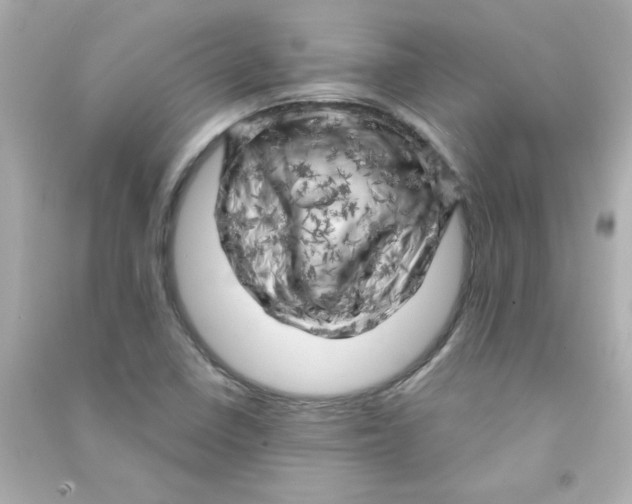 X0000090441410200708102017