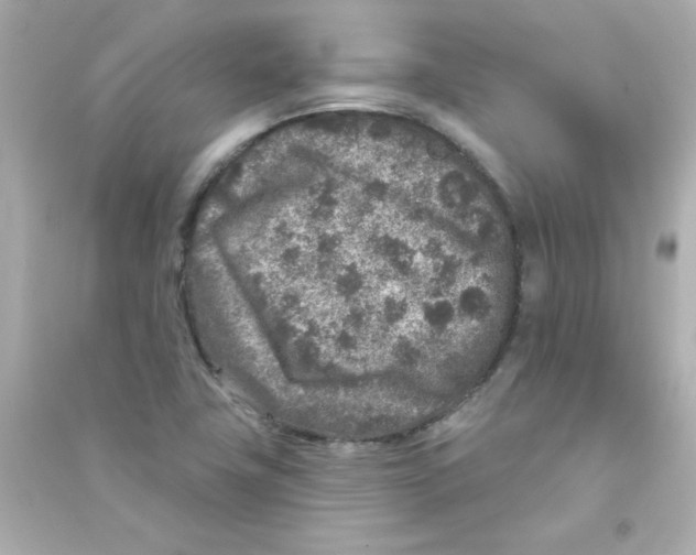 X0000090441411200708102017