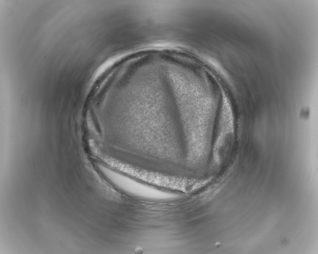 X0000090441412200708102017