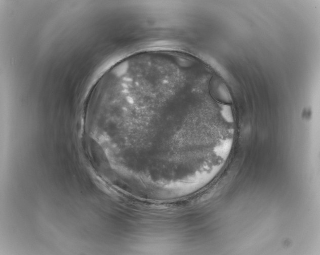 X0000090441413200708102017