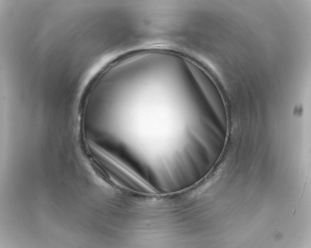 X0000090441414200708102017