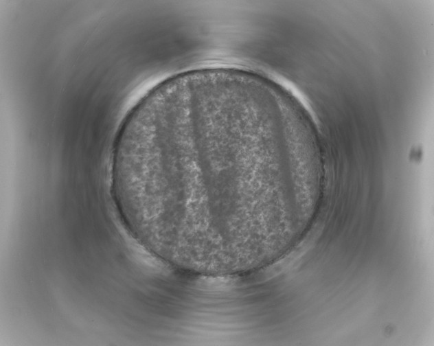X0000090441415200708102017
