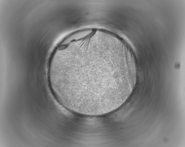 X0000090441416200708102017