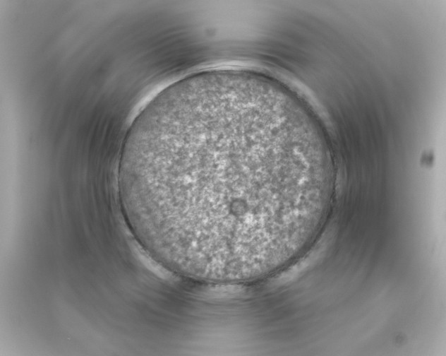 X0000090441417200708102017