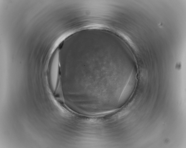 X0000090441418200708102017