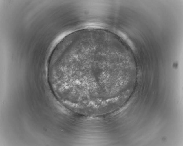 X0000090441419200708102017