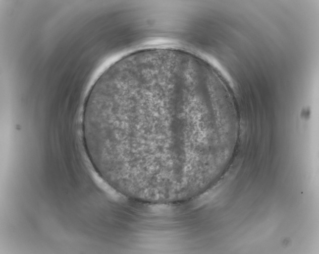 X0000090441421200708102017