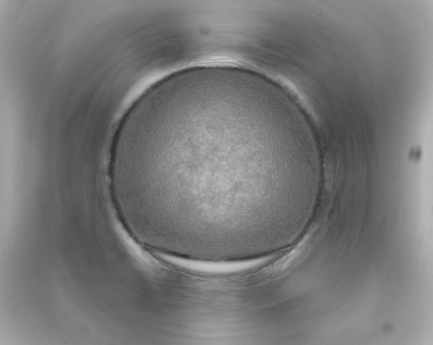 X0000090441422200708102017