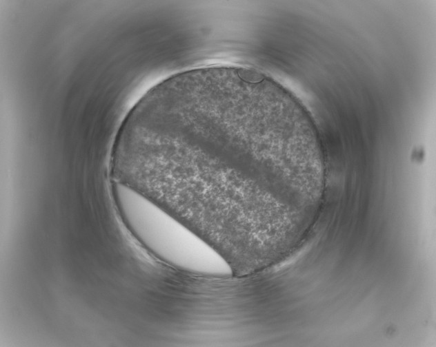 X0000090441423200708102017