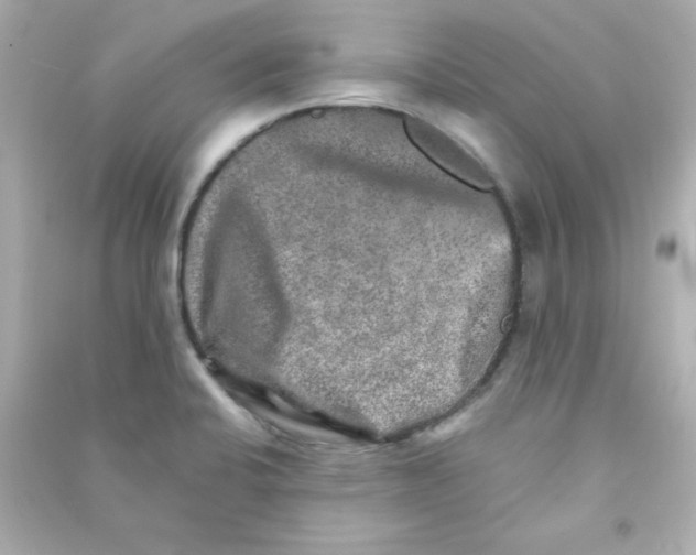 X0000090441424200708102017